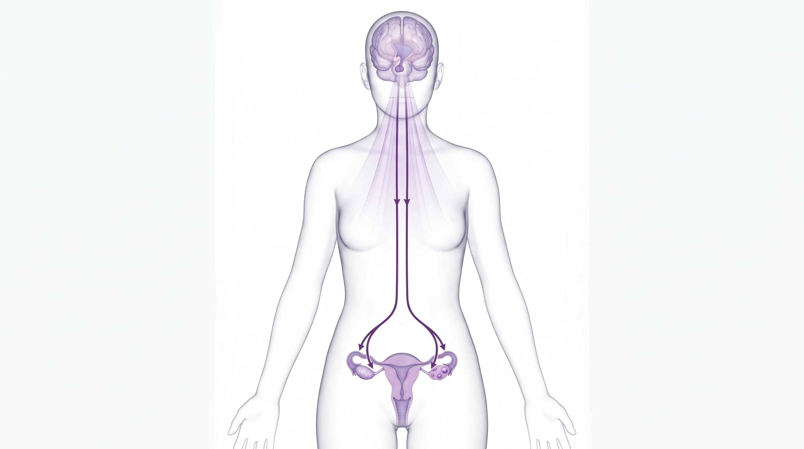 Pubertad y Alteraciones del Inicio de la Menstruación